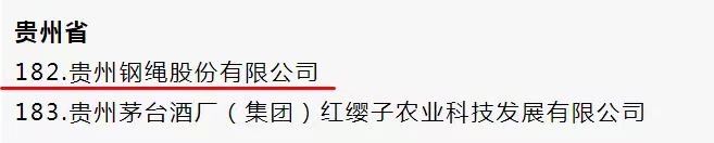 贵绳股份PG电子(中国)官方网站被列入“创建世界一流专精特新示范企业”名单2.jpg